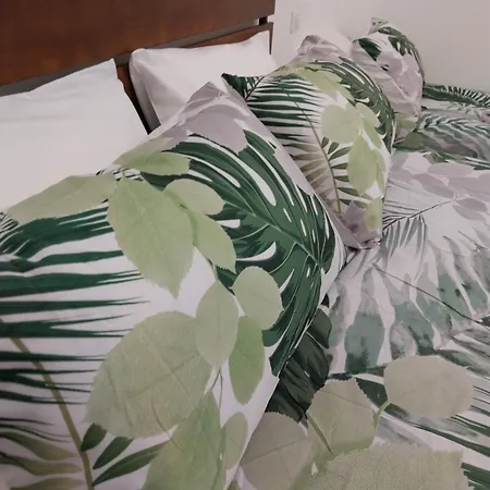 度假居 Balo's House 巴里